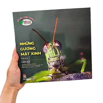 Gõ Cửa Thiên Nhiên Những Gương Mặt Xinh/Cảm Xúc_Faces