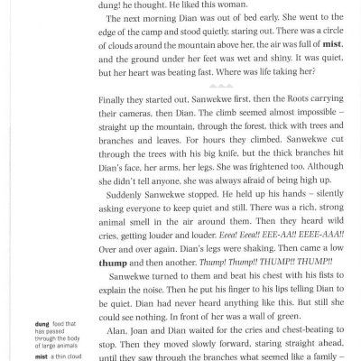 Dominoes 3 Dian and the Gorillas