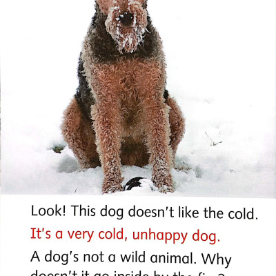 Dolphin Readers Level 3: Wonderful Wild Animals