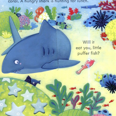 Sách - Anh: Peep inside The sea