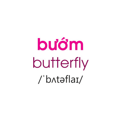 Thẻ Flashcard Theo Phương Pháp Glenn Doman - Thế Giới Quanh Em: Côn Trùng - Bò Sát - Lưỡng Cư