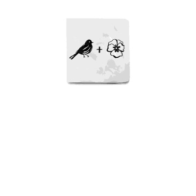 All The Bright Places (Paperback)