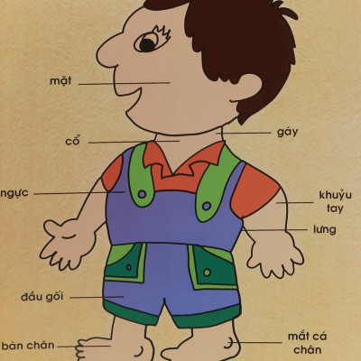 Sách: Từ Điển Tranh Cho Trẻ Em (Bìa Cứng) B99