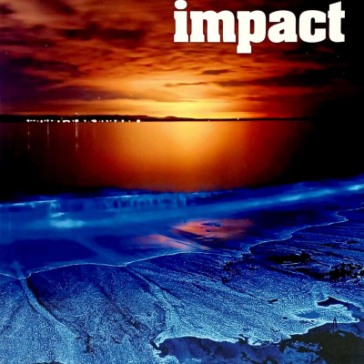 Impact BRE 4 Student Book With Online Workbook