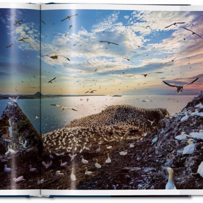 Artbook - Sách Tiếng Anh - Stephen Wilkes. Day to Night