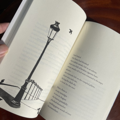 SHADOWS OF MY MIND – BÓNG CỦA Ý NGHĨ – thơ song ngữ Việt – Anh – Nguyễn Bảo Chân – NXB Thế Giới