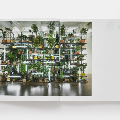 Rashid Johnson