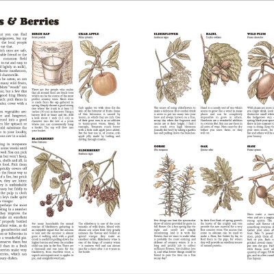 The Complete Book Of Self-Sufficiency - The Classic Guide For Realists And Dreamers