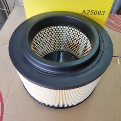 Lọc gió động cơ Ford Ranger 2011-2021 - A25003