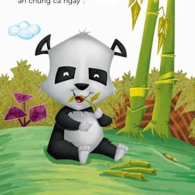 Thế Giới Tuyệt Vời Của Động Vật - Gấu Trúc Và Chim Công