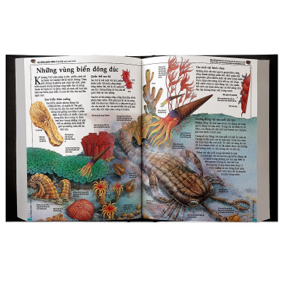 Sách - Bách Khoa Lịch Sử Thế Giới - Đông A