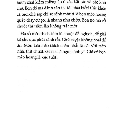 Có Hai Con Mèo Ngồi Bên Cửa Sổ (Tái Bản 2023)