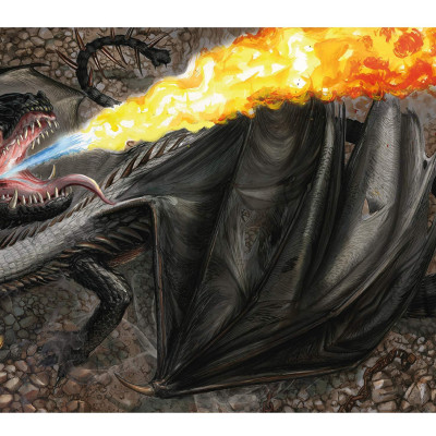 Fantastic Beasts: The Wonder of Nature (Amazing Animals and the Magical Creatures of Harry Potter and Fantastic Beasts) (Paperback)