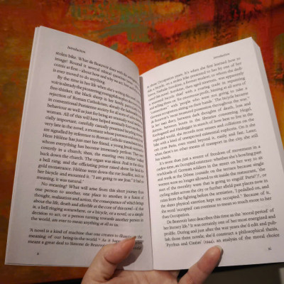 Sách - The Blood of Others (Penguin Modern Classics) by Simone de Beauvoir/Literature/Political-Ngoại văn tiếng Anh UK