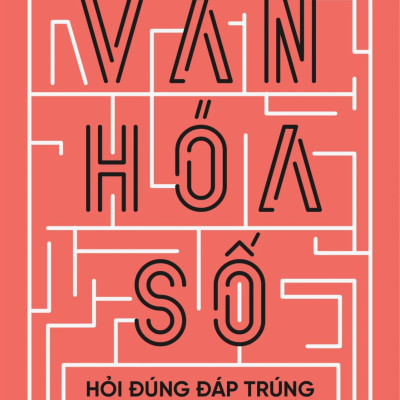 Combo Ra Quyết Định Dựa Trên Phân Tích Dữ Liệu + Văn Hoá Số (Bộ 2 Cuốn) - AL