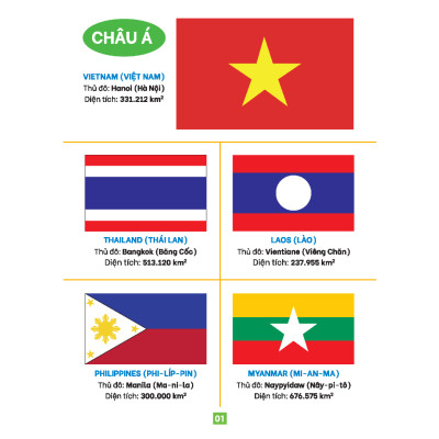 Sách - Từ điển bằng tranh - Cờ các quốc gia trên thế giới (bìa cứng) - MT
