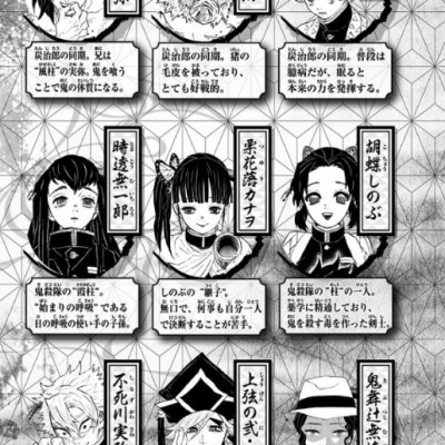 鬼滅の刃 19 (ジャンプコミックス) (日本語) KIMETSU NO YAIBA 19