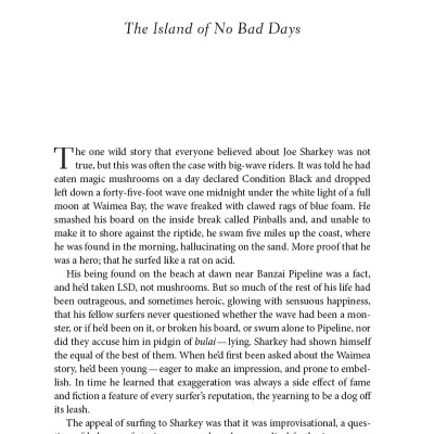 Under The Wave At Waimea