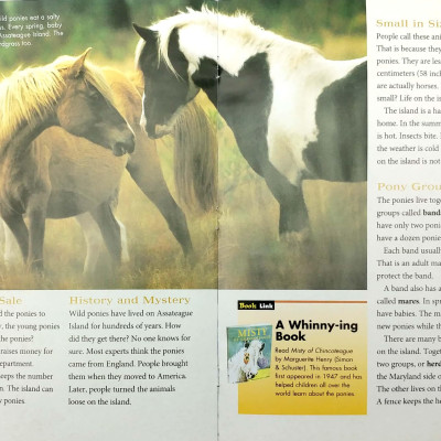 Explore on Your Own Life Science Pioneer Wild Ponies