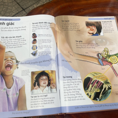 [BÁCH KHOA CHO TRẺ EM] – BÁCH KHOA CƠ THỂ NGƯỜI – MỞ MANG KIẾN THỨC KHƠI DẬY TIỀM NĂNG– tủ sách DK – Đông A – Bìa Cứng in màu toàn bộ