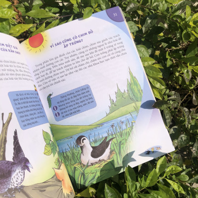 Sách: 10 Vạn Câu Hỏi Vì Sao - Động Vật Biết Bay Và Thực Vật