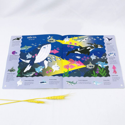 Thế Giới Đại Dương - Tìm Kiếm Thông Minh Phát Triển Khả Năng Tập Trung - Dành Cho Trẻ Từ 2-6 Tuổi