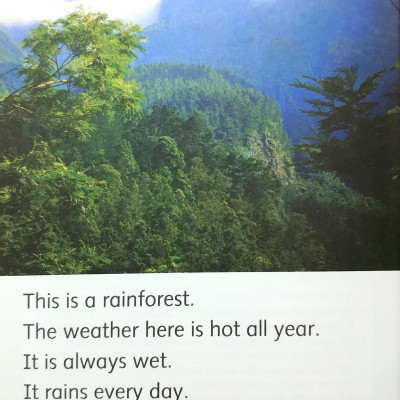 Dolphin Readers Level 3: Let