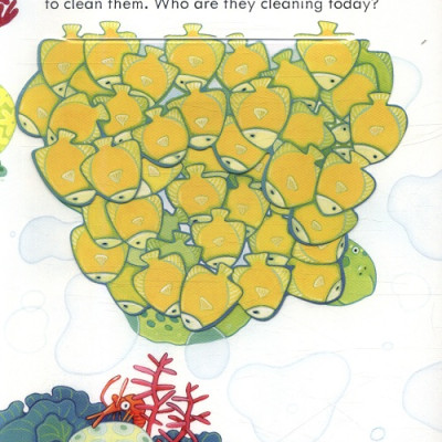 Sách - Anh: Peep inside The sea