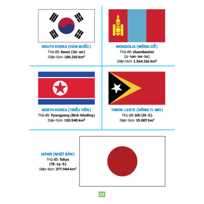 Sách - Từ điển bằng tranh - Cờ các quốc gia trên thế giới (bìa cứng) - MT