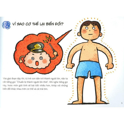 Sách - Từ Bé Trai Tôi Trở Thành Người Lớn - Bé Trai Thấu Hiểu Cơ Thể Để Tự Bảo Vệ - NXB Phụ Nữ