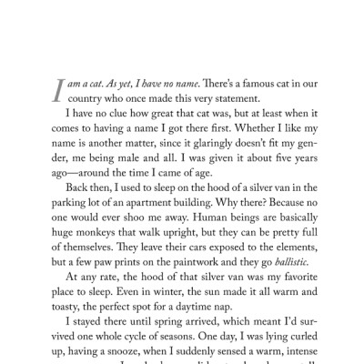 The Travelling Cat Chronicles