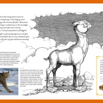 Fantastic Beasts: The Wonder of Nature (Amazing Animals and the Magical Creatures of Harry Potter and Fantastic Beasts) (Paperback)