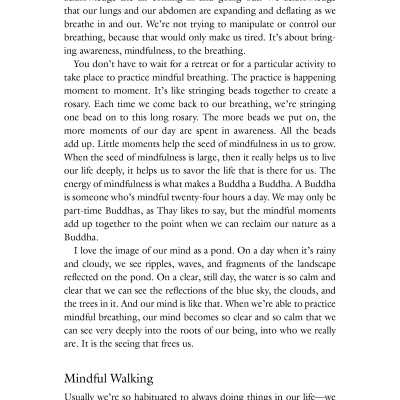 One Buddha Is Not Enough: A Story Of Collective Awakening