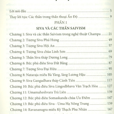 NGHỆ THUẬT CHAMPA - Tượng Các Thần Hindu Giáo - Ngô Văn Doanh - (bìa mềm)