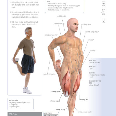 70 Bài Tập Cải Thiện Vóc Dáng Tăng Sự Dẻo Dai (Bản in màu)