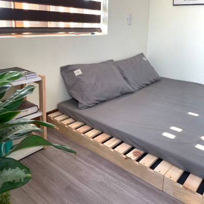 Giường ngủ gỗ CT09 Juno Sofa màu vàng nhạt 