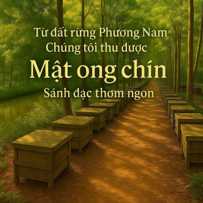 Combo Mật ong rừng Phương Nam Honimore 630g/chai tặng 1 chai Mật ong Hoa Vải Thiều 360g/chai - tăng sức đề kháng