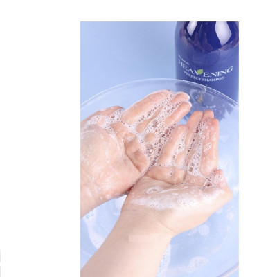 Combo 01 chai Dầu Gội chăm sóc tóc + 01 Sữa tắm dưỡng ẩm da cao cấp Heavening Perfect TẶNG KÈM Hộp & Túi đựng