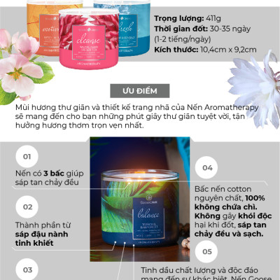 Nến ly 3 bấc Aromatherapy Goose Creek (411g) - Jasmine & Vetiver