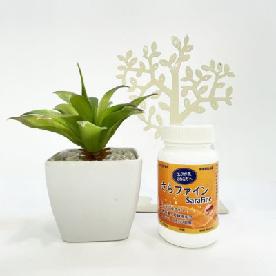 Viên Uống Hỗ Trợ Giảm Mỡ Máu Sarafine Fujina 80 Viên Nhật Bản Chính Hãng, Phòng Ngừa Ngừa Tai Biến