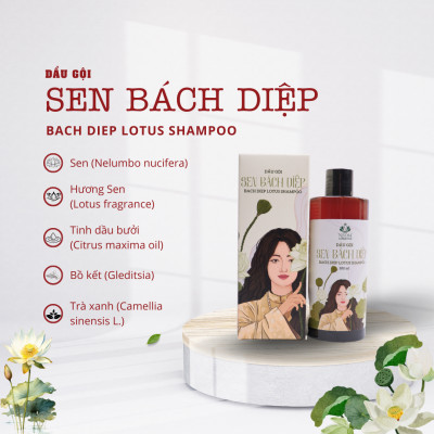 Dầu Gội Sen Bách Diệp Dầu Gội Kích Mọc Tóc Giảm Gãy Rụng