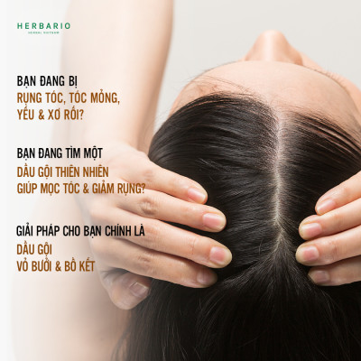 Dầu gội vỏ bưởi & Bồ kết 300ml sạch da đầu gàu, kích thích mọc tóc, giảm rụng tóc