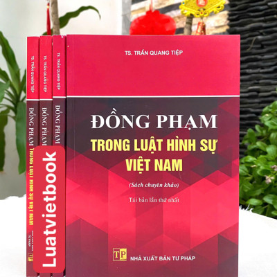 Đồng Phạm Trong Luật Hình Sự Việt Nam