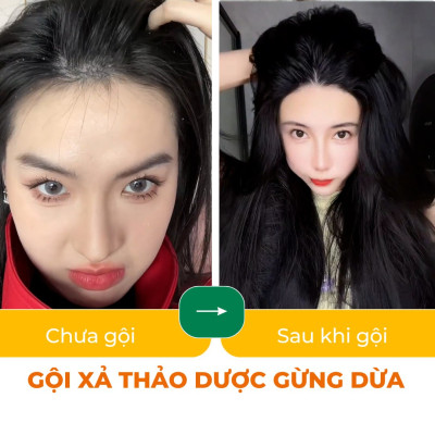 Bộ dầu gội thảo dược gừng dừa Cocayhoala hỗ trợ trị gàu, giảm nấm ngứa, dung tích 440g/chai- 95% thành phần từ gừng tươi hữu cơ còn nguyên xơ gừng, hỗ trợ trị rụng tóc, kích thích mọc tóc vượt trội
