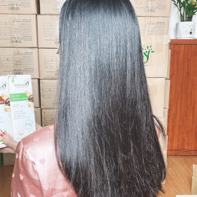 Cặp dầu gội xả thảo dược 300ml VENAGREEN chống xơ tóc, rụng tóc, chăm sóc tóc hư tổn