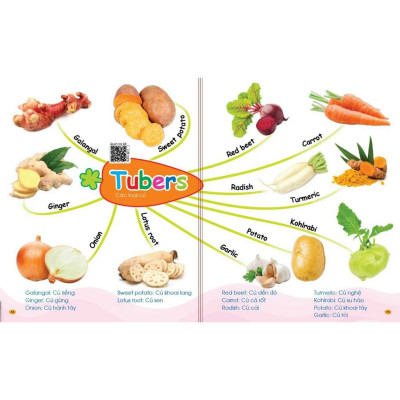 Sách Bé chinh phục từ vựng Tiếng anh (có File âm thanh) - Theo sơ đồ tư duy Mind Map - Phiên bản mới 2021