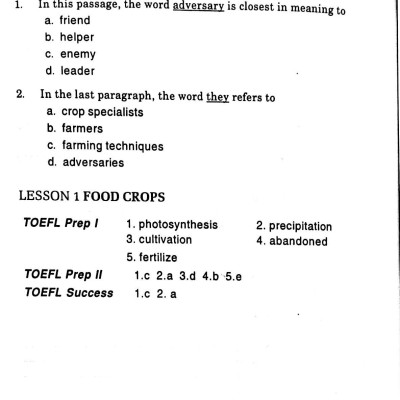 400 Từ Vựng Thiết Yếu Cho Người Thi TOEFL
