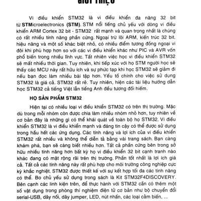 Vi Điều Khiển ARM Và Ứng Dụng - STK