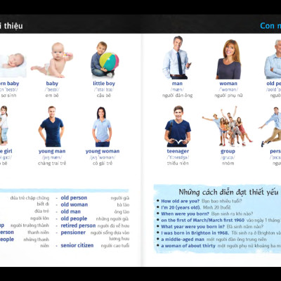 Từ Điển Trực Quan Bỏ Túi Anh-Việt