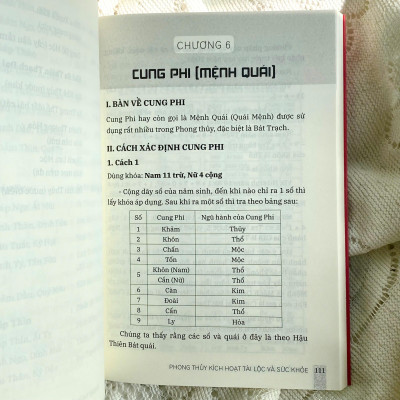 Sách - Phong Thủy Kích Hoạt - Tập 1 - Tài Lộc Và Sức Khỏe - Hành Trình 30 Ngày Để Có Cuộc Sống Thịnh Vượng Và Khỏe Mạnh